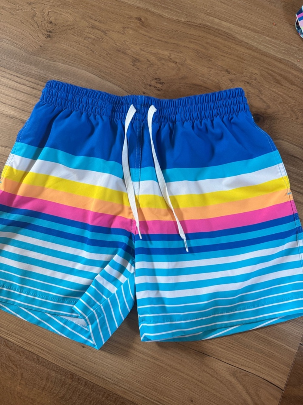 chubbies Men's Blue Multicolor Striped Swim Trunks